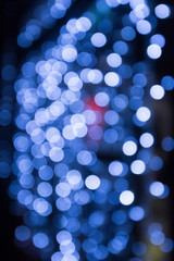 Christmas lights