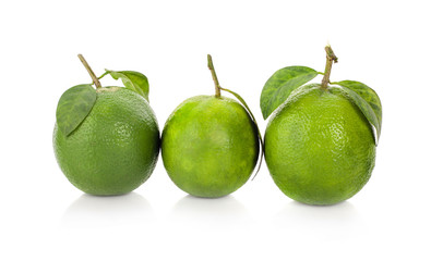 lime citrus fruit (lime cut) isolated on white background