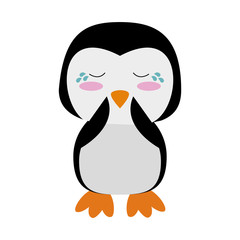 penguin crying cute animal cartoon icon image vector illustration design 