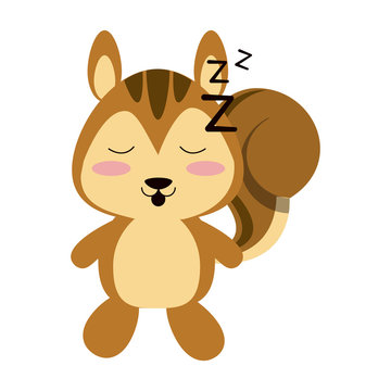squirrel sleeping  cute animal cartoon icon image vector illustration design 