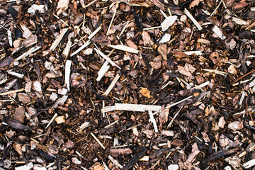 Wood sawdust texture material background closeup, top view