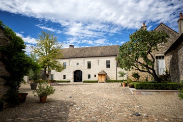 Fototapeta na wymiar Burgundy vineyard, Vosne-Romanée, Cote d'Or. France