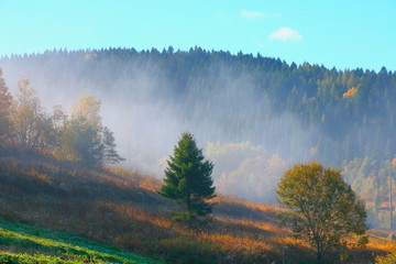 Morning mist in the Carpathians in the autumn.