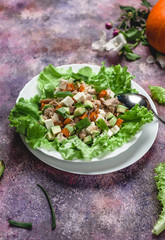 appetizer with fresh cheese, chicken fillet, pumpkin and carrot, olive oil, green salad and avocado on white plates on purple background