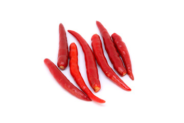 Close up chili isolated