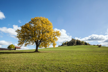 Blick auf den Hohenkarpfen nahe Tuttlingen im Herbst
