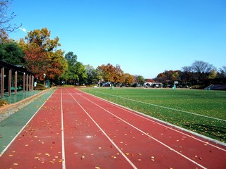 sports stadium track
