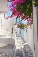 Fototapeta premium Ruelle et escalier de Mykonos