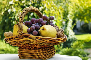 Still-life with autumn fruits in a woven wooden basket.