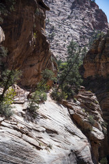 Fototapeta na wymiar Zion National Park Canyon Overlook Trail