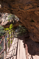 Zion National Park Canyon Overlook Trail