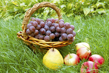 Still-life with autumn fruits in a woven wooden basket.