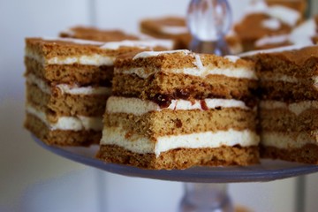 Few pieces of nutty cake on plateau