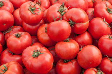 tomates bio au marché