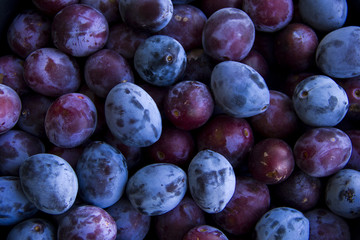 there are many blue and purple plums