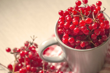 The red berries in the grey Cup.