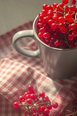 Large red berries of viburnum in bowl.