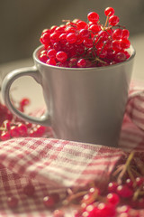Bright red berries in sunlight