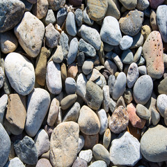 Rock Collection/A variety of shapes and colors of rocks.