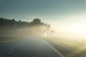 Morning mist over the asphalt road