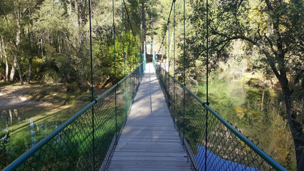 Obraz premium In the natural park of the high Tajo in Guadalajara