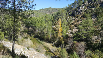 In the natural park of the high Tajo in Guadalajara