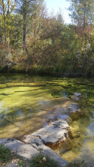 In the natural park of the high Tajo in Guadalajara