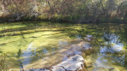 In the natural park of the high Tajo in Guadalajara