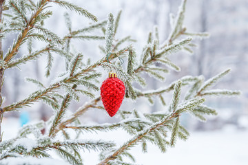 Red cone on a branch of a Christmas tree