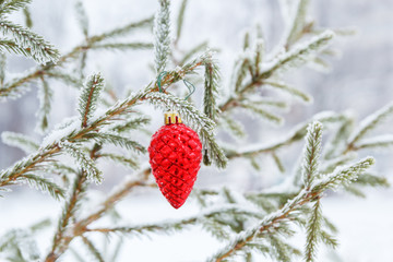 Cone on a branch of a Christmas tree at street