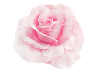 rose soft focus texture