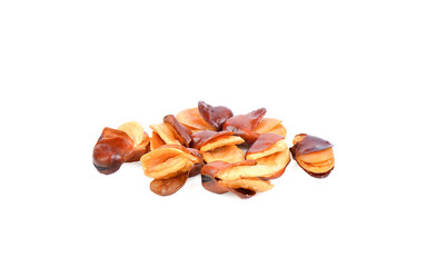 fava bean on white background