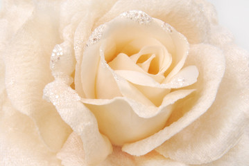 rose fabric beige texture