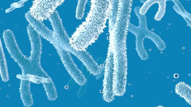 3D rendered Animation of floating Chromosomes.
