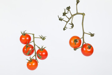 Fresh Colourful Tomato.