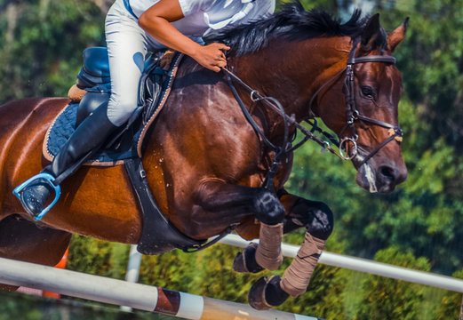 Bay dressage horse and rider in white uniform performing jump at show jumping competition. Equestrian sport background. Bay horse portrait during dressage competition. 