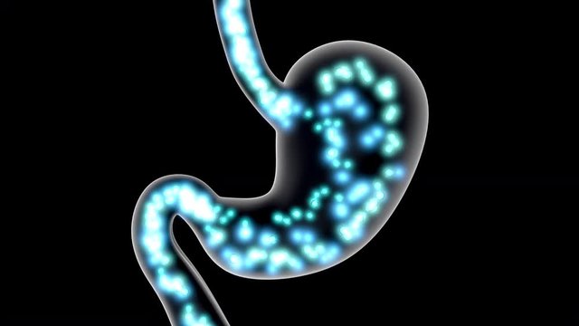 Anatomy visualisation of the digestive process in a human stomach.
