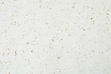 Mulberry paper with dry flower and leaf texture background