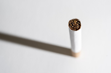 cigarette and shadow isolated on white background in unhealthy habit of smoking addiction concept