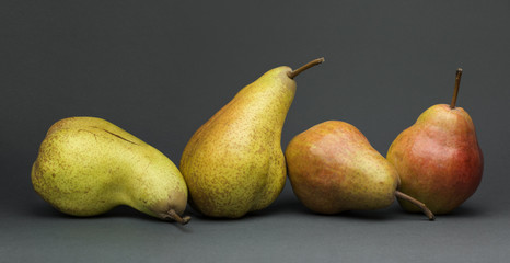 Still life with various ripe pears, isolated on gray