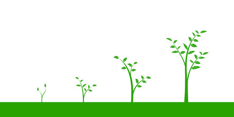 Fototapeta premium Vector illustration of a set of green icons - plant or tree growth phase, isolated