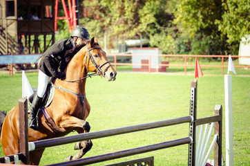 Equestrian sport, Young man jockey ride beautiful brown horse and jump over the crotch in equestrian sport closeup