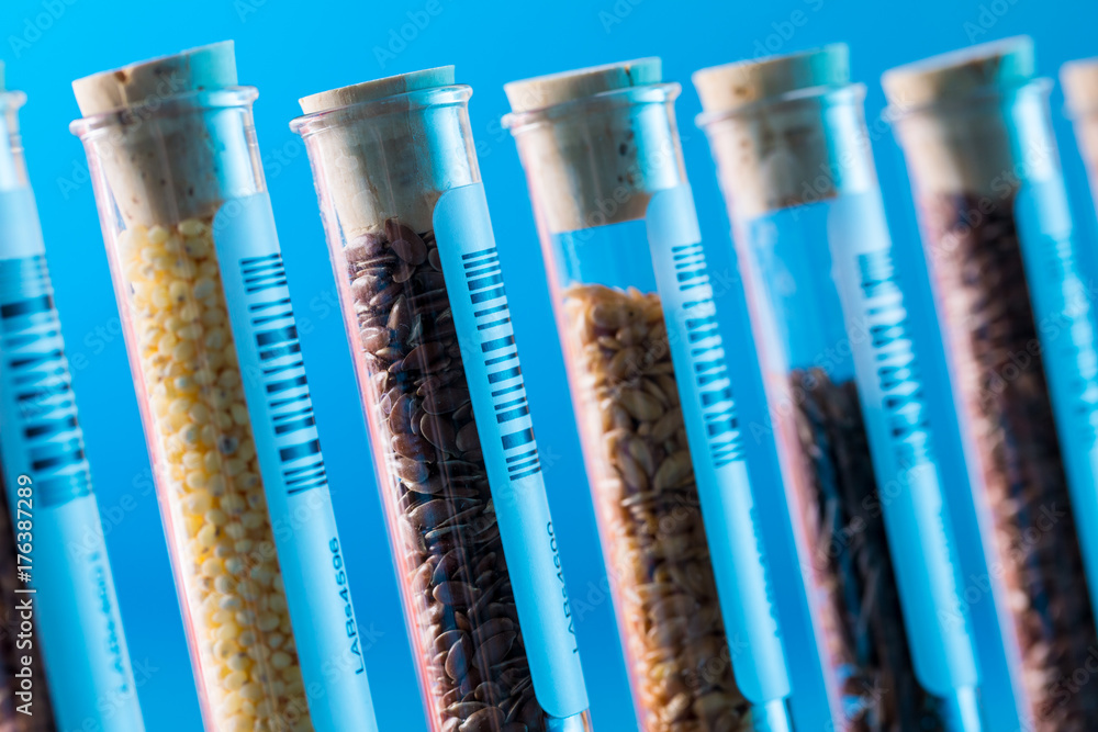 Wall mural Test tubes with bar codes with seeds of selection plants