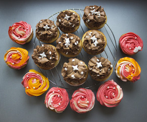 Beautiful colored cupcakes standing on the gray background after baking close up