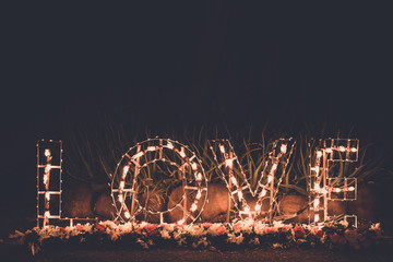 Love word  light bulbs. Background.