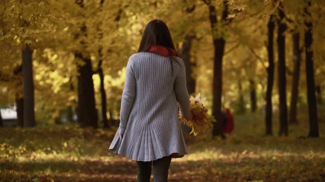 young girl walks in the park in autumn.