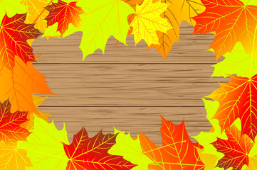 Naklejka na ściany i meble Autumn - maple leaves - vector background, Autumnal leaf of maple, (Acer), 