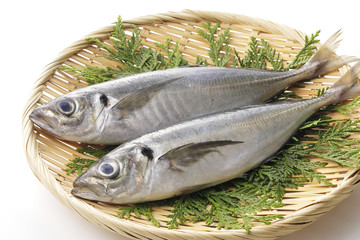あじ　Horse mackerel