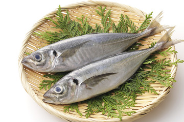 あじ　Horse mackerel