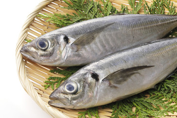 あじ　Horse mackerel